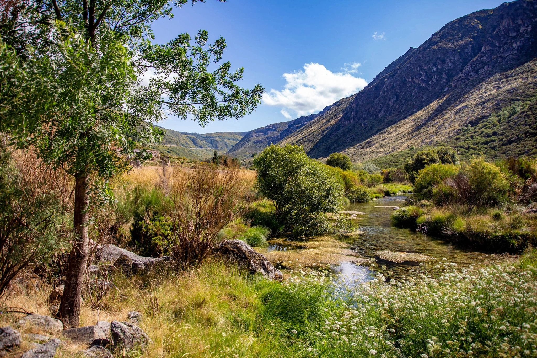 A clear stream winds between boulders and wildflowers through a narrow mountain valley, the rocky walls of Serra da Estrela rising steeply on both sides under a vivid blue sky.