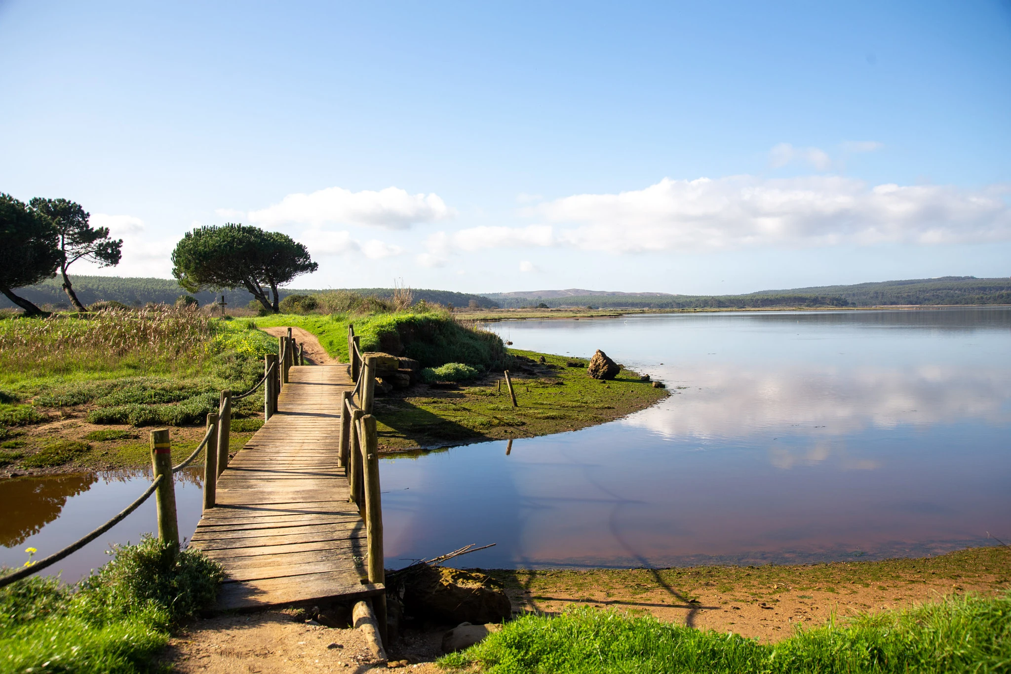 A weathered wooden footbridge crosses a calm lagoon, pine trees and green meadow framing the far bank, the sky perfectly reflected in the still reddish water.