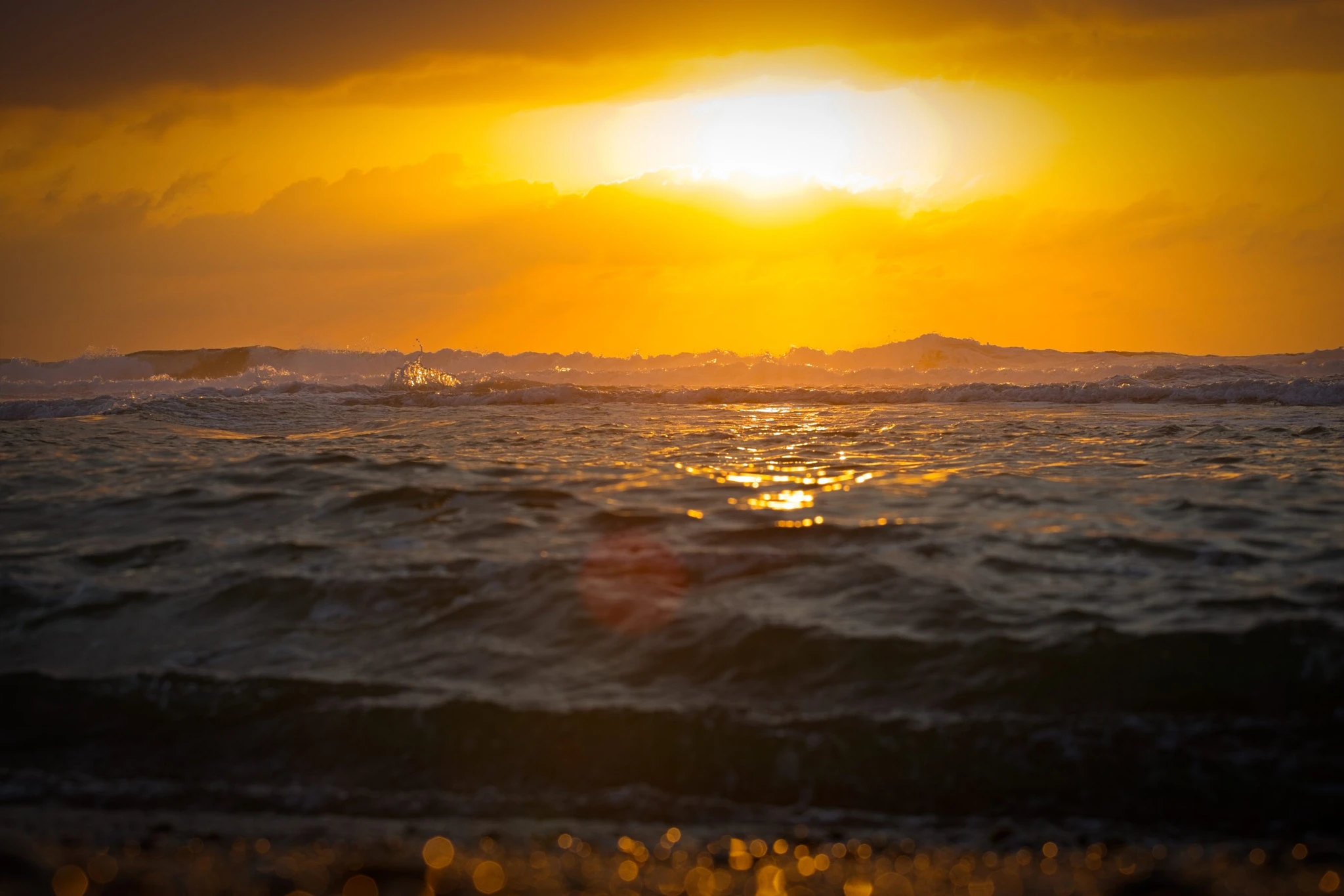 Shot from just above the surface, the ocean races toward the lens at sunset, every ripple catching the gold and orange light, a line of distant waves breaking on the horizon.