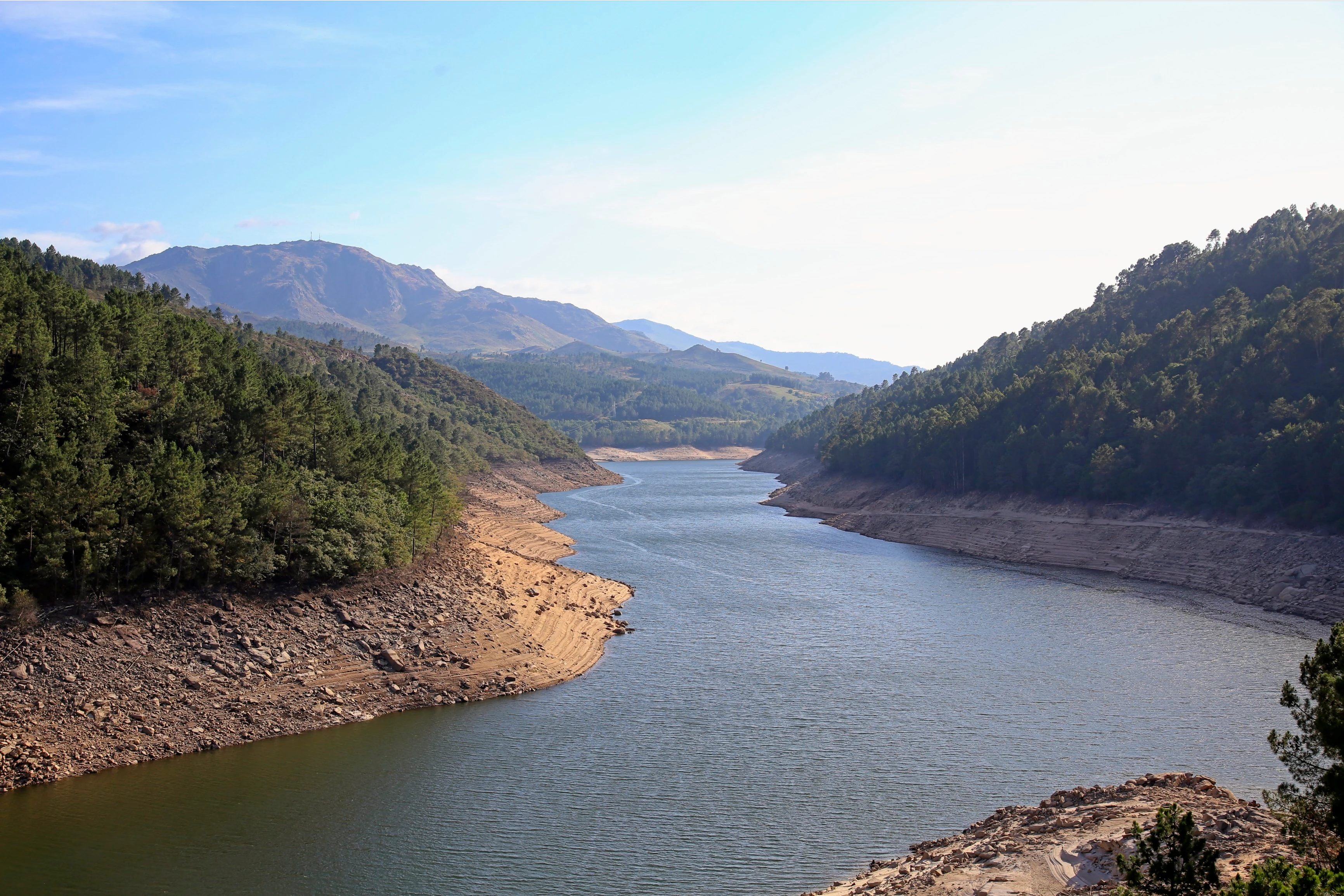 A reservoir winds between pine-covered ridges and bare rocky banks under a clear blue sky, the low water level exposing a wide band of pale earth along the shoreline, mountains fading into haze beyond.